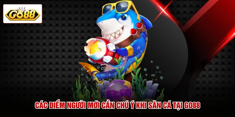 Các điểm người mới cần chú ý khi săn cá tại GO88