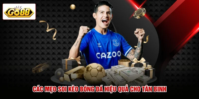 Các mẹo soi kèo bóng đá hiệu quả cho tân binh
