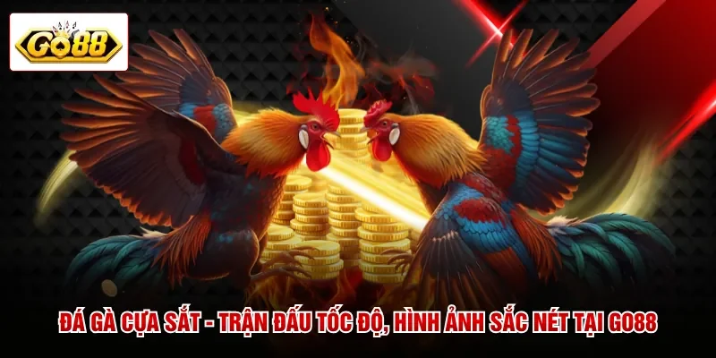 Đá Gà Cựa Sắt - Trận Đấu Tốc Độ, Hình Ảnh Sắc Nét Tại GO88