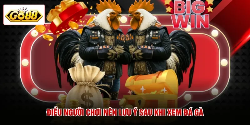 Điều người chơi nên lưu ý sau khi xem đá gà