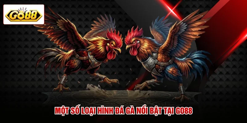 Một số loại hình đá gà nổi bật tại GO88