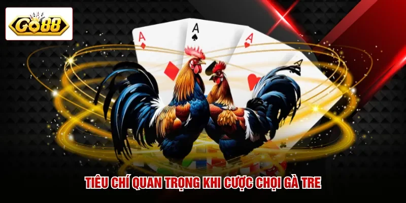 Tiêu chí quan trọng khi cược chọi gà tre