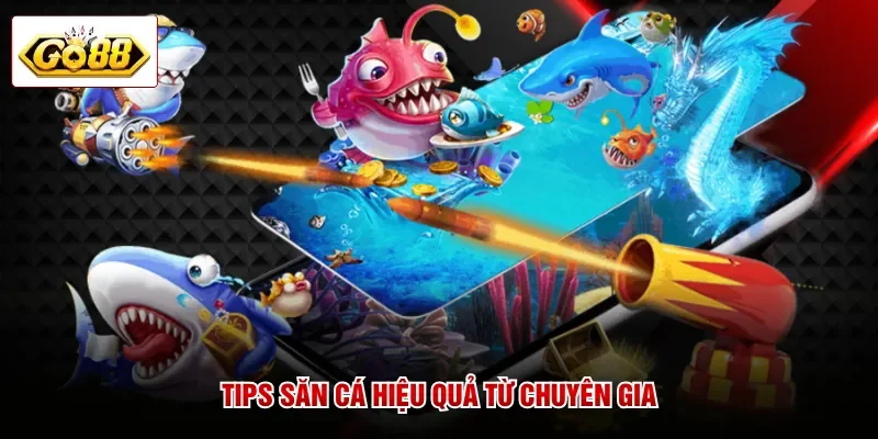 Tips săn cá hiệu quả từ chuyên gia