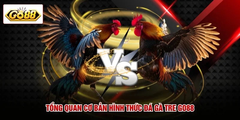 Tổng quan cơ bản hình thức đá gà tre GO88