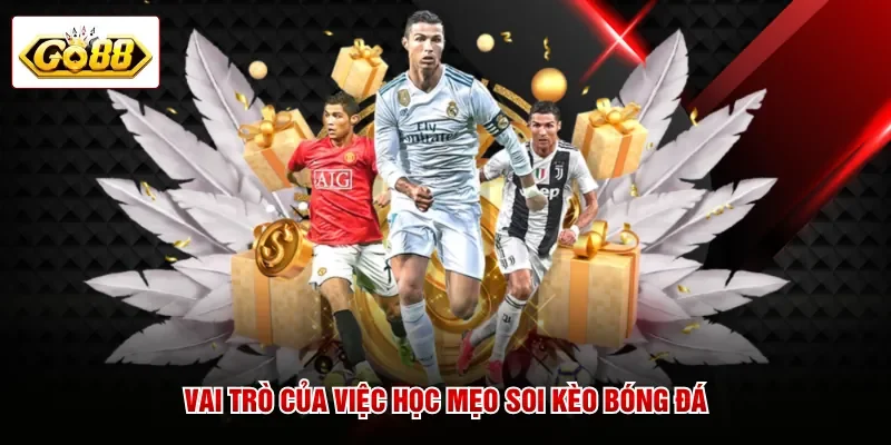 Vai trò của việc học mẹo soi kèo bóng đá